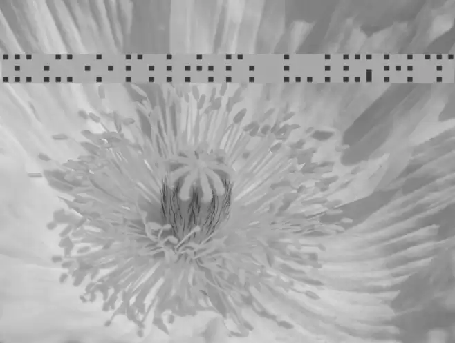 Iconian Light フォント examples