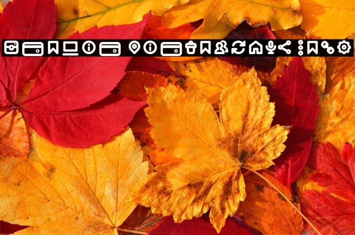 Iconic Pictograms Bold Example 1