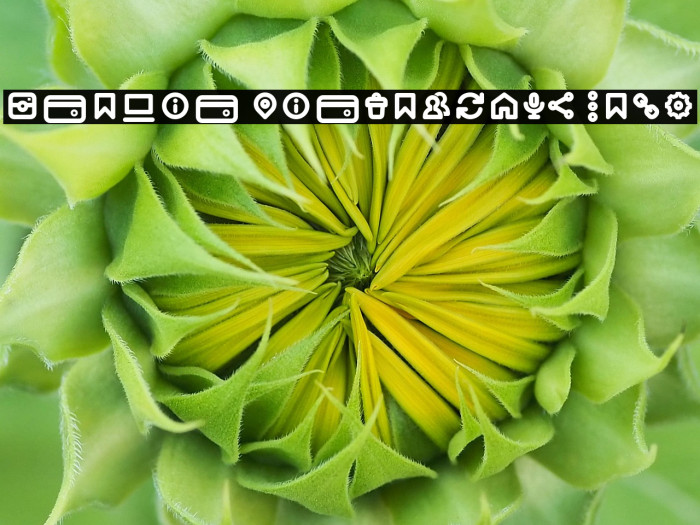 Iconic Pictograms Bold Example 3