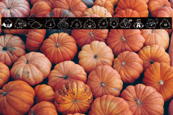 Iconic Poopies Example 1