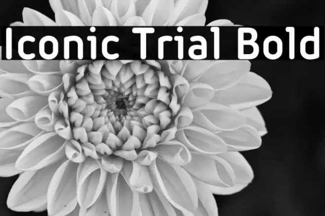 Iconic Trial Bold Font examples