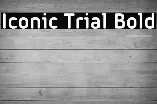 Iconic Trial Bold Font examples