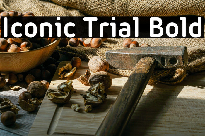 Iconic Trial Bold Example 3