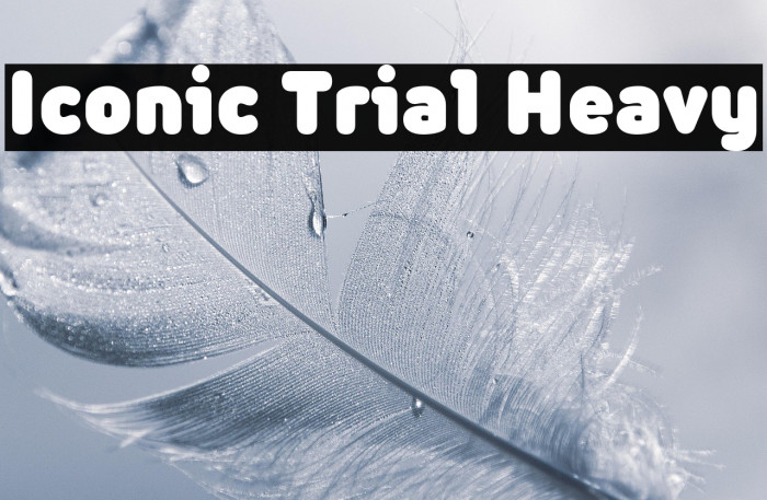 Iconic Trial Heavy Example 1
