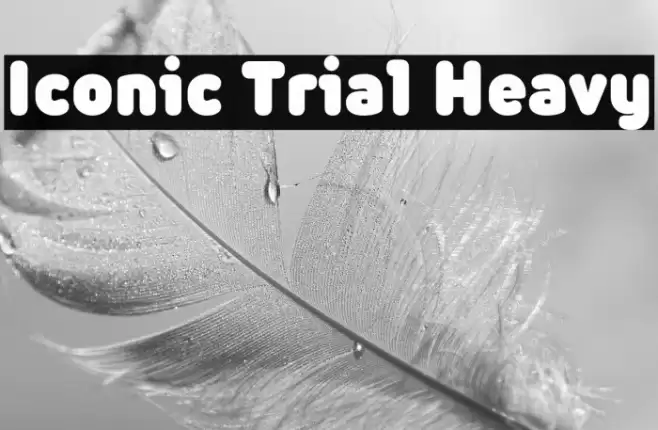 Iconic Trial Heavy Font examples