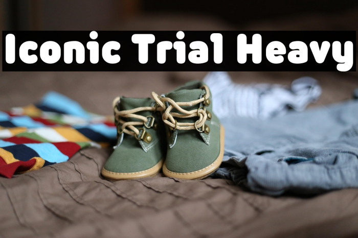 Iconic Trial Heavy Example 3