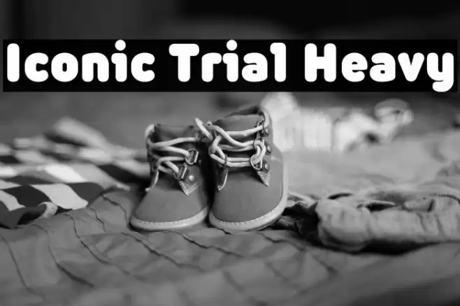 Iconic Trial Heavy Font examples