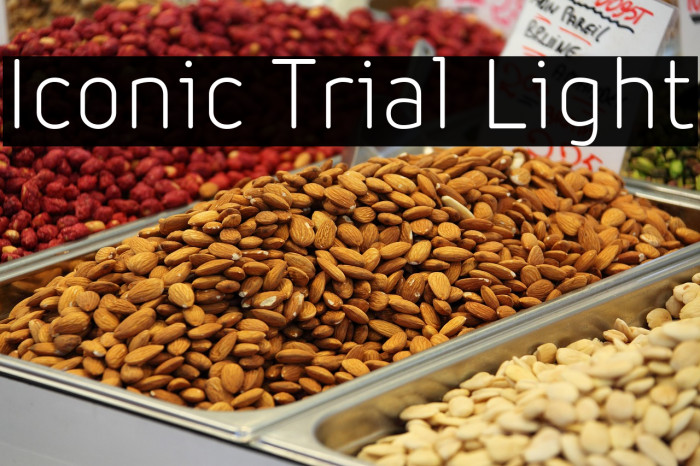 Iconic Trial Light Example 3