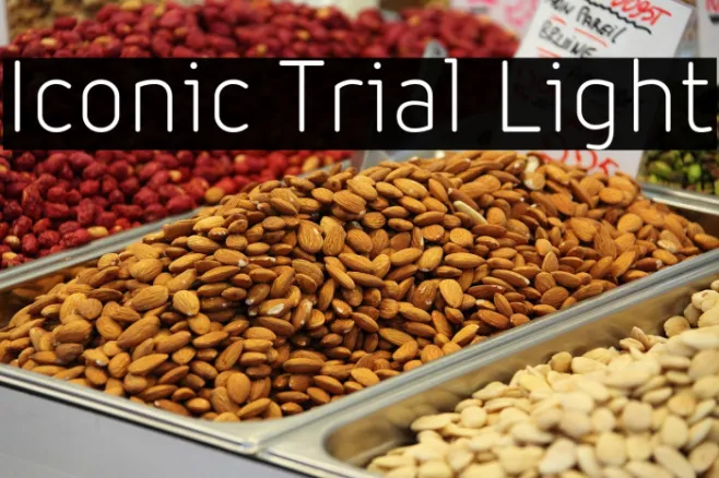 Iconic Trial Light Example 3
