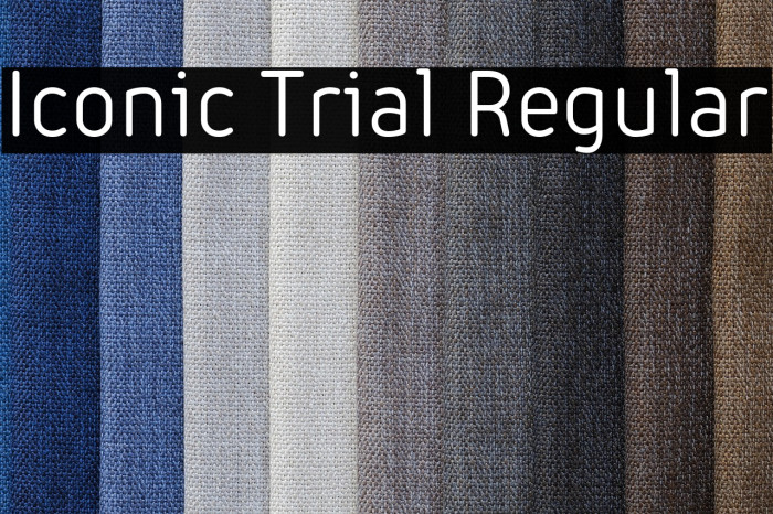 Iconic Trial Regular Example 2