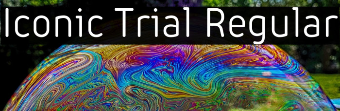 Iconic Trial Regular Example 3