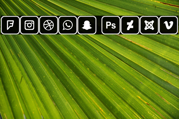 Icons 2019 Example 2