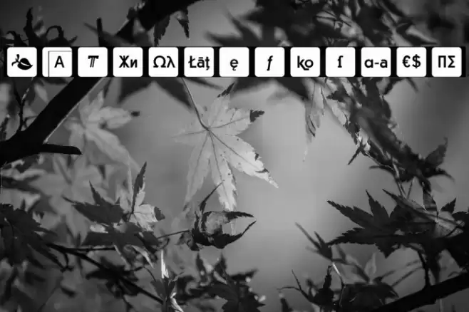 Icons OpenType Regular Font examples