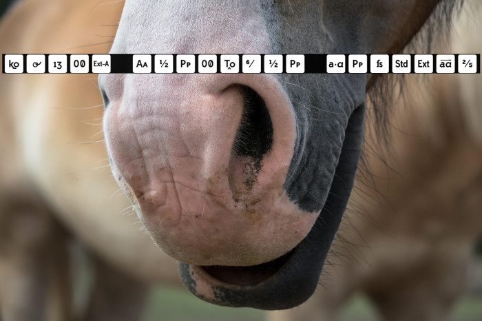 Icons OpenType Regular Example 1