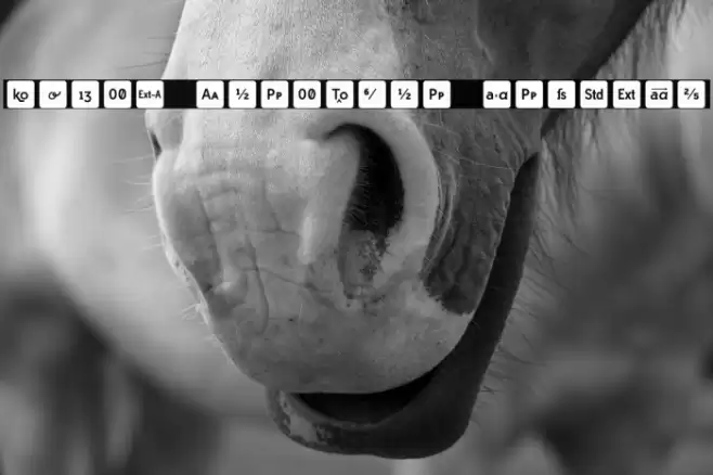 Icons OpenType Regular Font examples