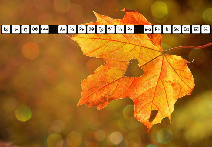 Icons OpenType Regular Example 2