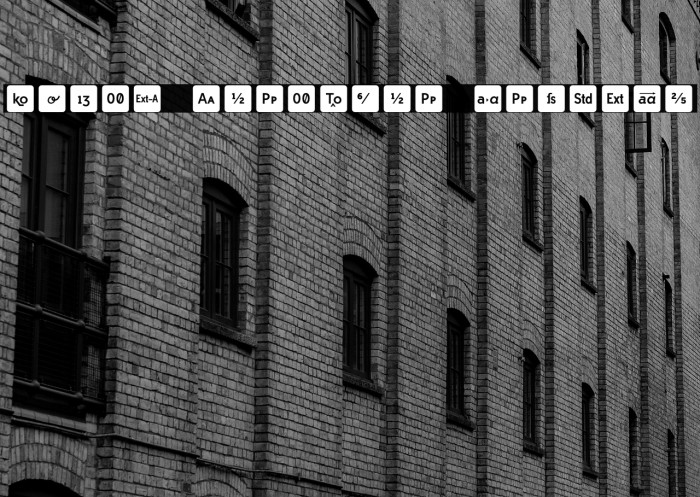 Icons OpenType Regular Example 3