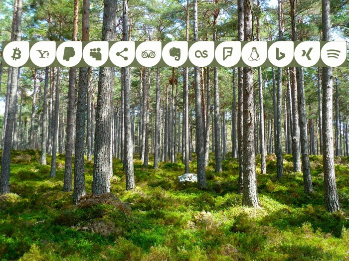 Icons Social Media 12 Font examples