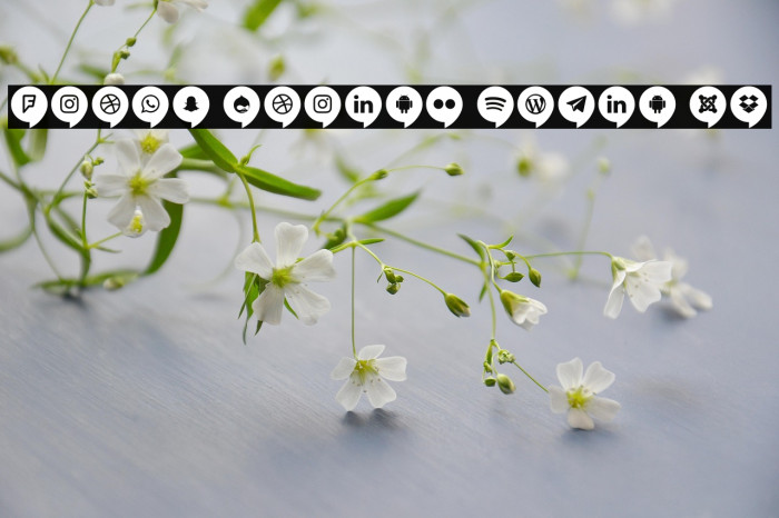 Icons Social Media 14 Example 1