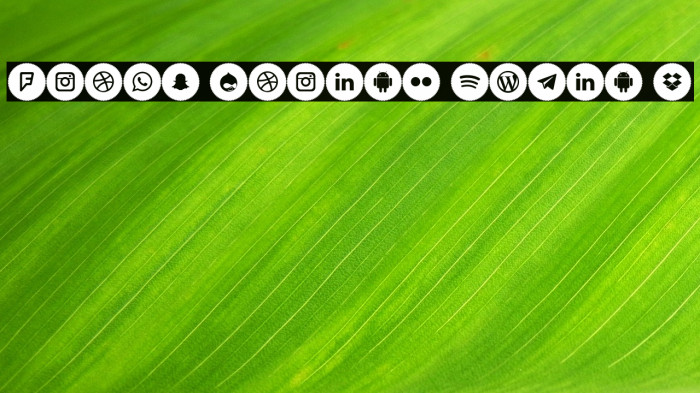 Icons Social Media 4 Example 2