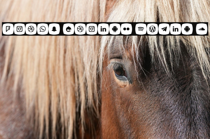 Icons Social Media 5 Example 1