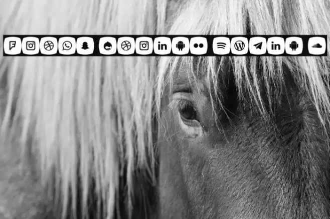 Icons Social Media 5 Font examples