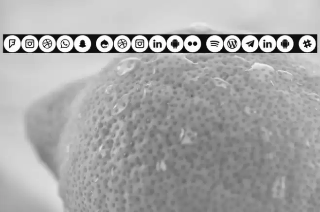 Icons Social Media 8 Font examples