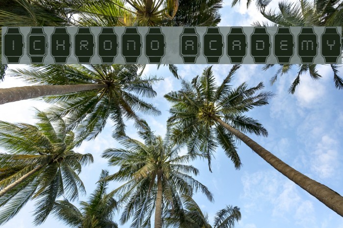 iChrono Academy Example 2