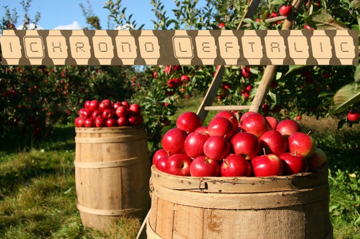 iChrono Leftalic Font examples