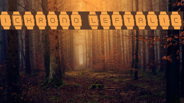 iChrono Leftalic Font examples