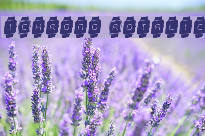 iChrono Rotalic Example 3