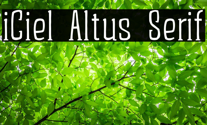 iCiel Altus Serif Font examples