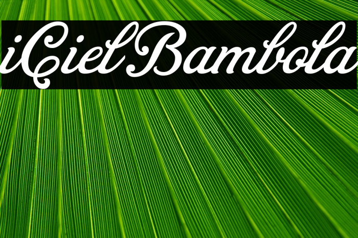 iCiel Bambola Font examples