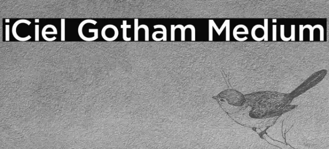 iCiel Gotham Medium Font examples