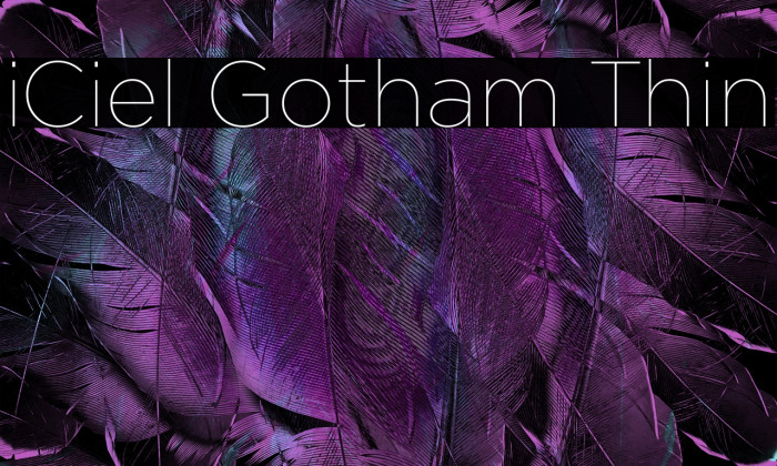 iCiel Gotham Thin Example 2