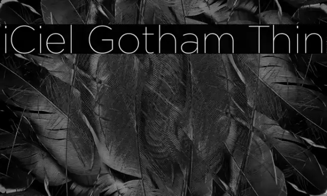 iCiel Gotham Thin Font examples
