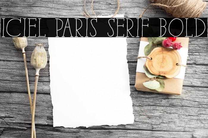 iCiel Paris Serif Bold Font examples