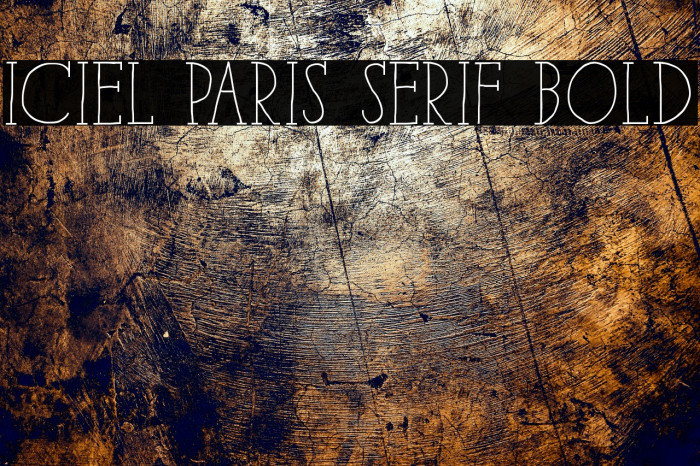iCiel Paris Serif Bold Font examples