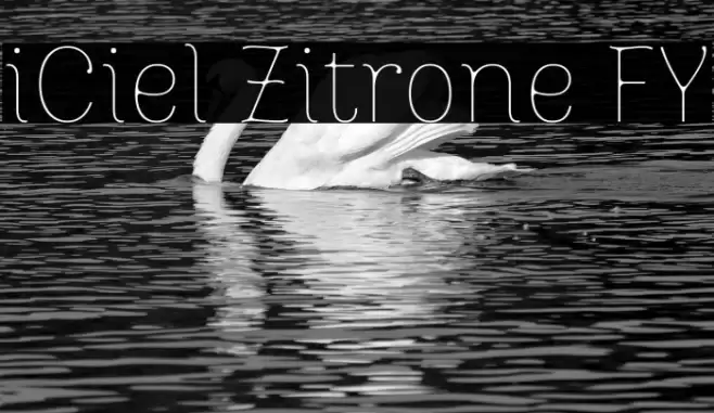 iCiel Zitrone FY Font examples