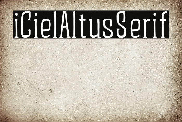 iCielAltusSerif Example 1
