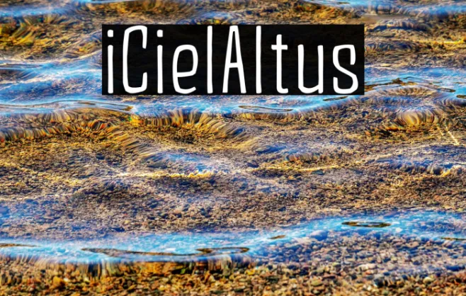 iCielAltus Example 2