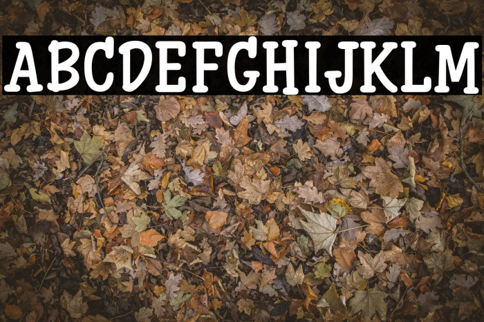 iCielCucho-Bold Font examples