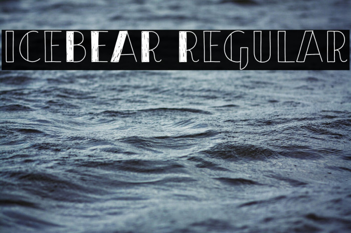 iceBEAR Regular Example 1