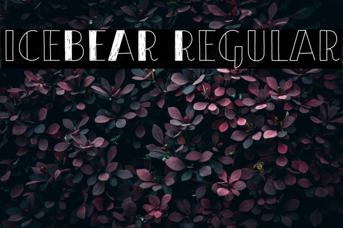 iceBEAR Regular Example 2