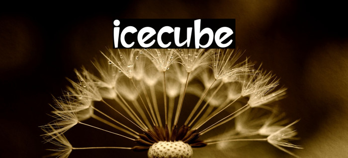 icecube Font examples
