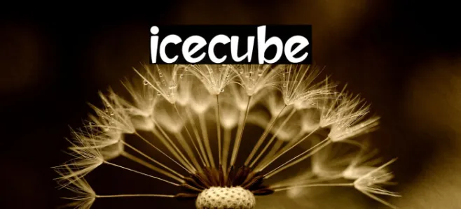 icecube Example 1