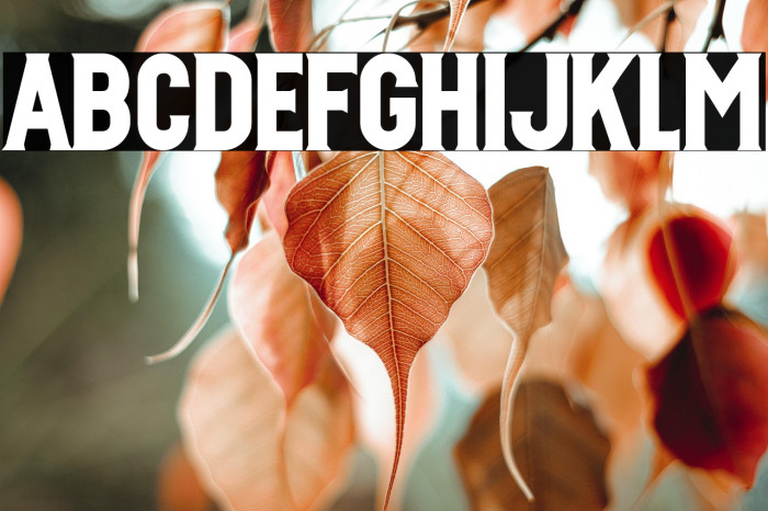 IDAHO_Demo_Conrad_Garner Example 2