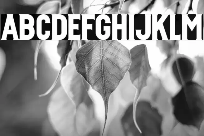 IDAHO_Demo_Conrad_Garner Font examples