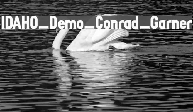 IDAHO_Demo_Conrad_Garner Font examples