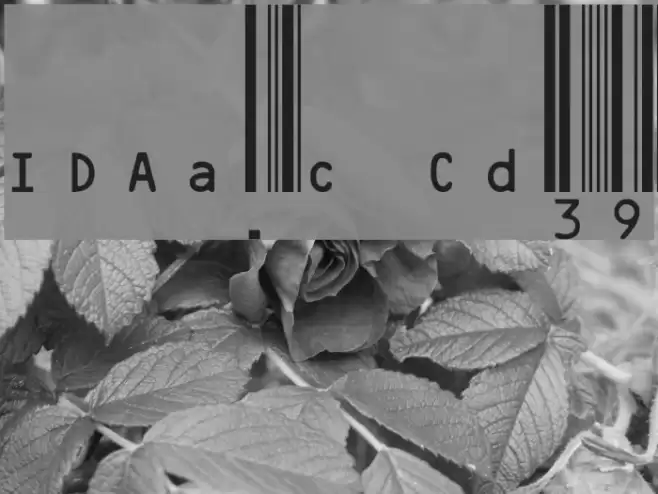 IDAutomation.com Code39 Polices examples